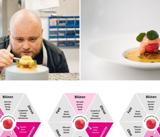 Pink Lady Apfel als Hauptdarsteller in der Avantgarde-Patisserie von Hannes Radeck: auch als DIY-Desserts für zu Hause