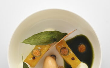Sani Gourmet 2018