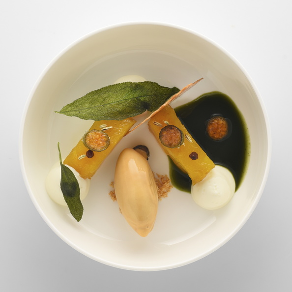Sani Gourmet 2018