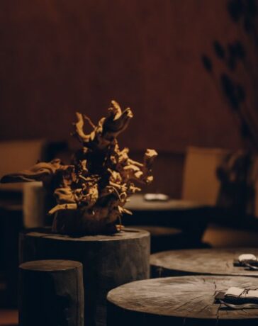YERA Waldrestaurant